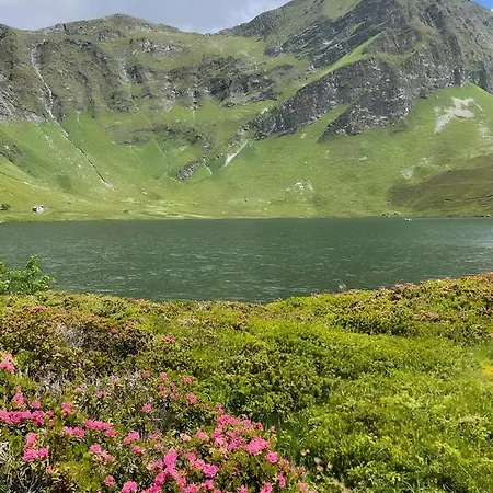 Апартаменты Casa Kromatica